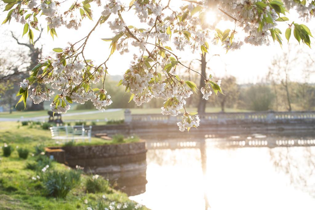 ストラットフォード＝アポン＝エイボン The Bell, Alderminster Bed & Breakfast エクステリア 写真
